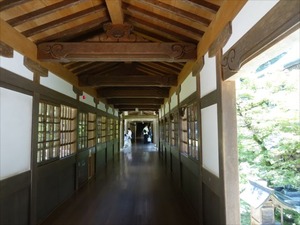 DSC05206_R