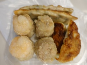 DSC03227_R