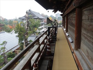 DSC01011_R