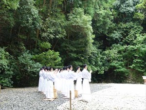 DSC07347_R