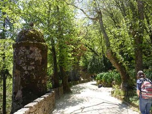 DSC06853_R
