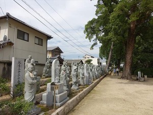DSC09658_R