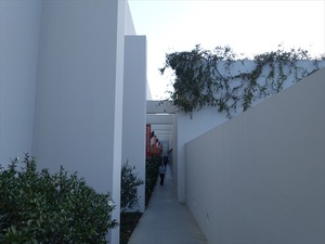 DSC07606_R