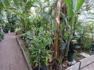 DSC09416_R