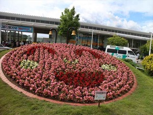 IMG_6966_R