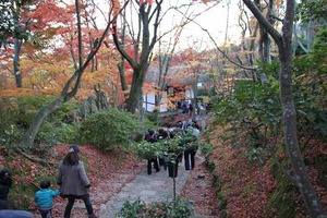 IMG_8997