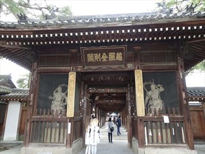 DSC09633_R
