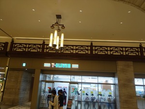 DSC07856_R
