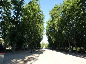 DSC04403_R