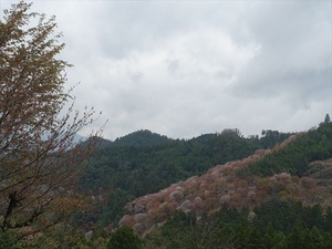 DSC08956_R