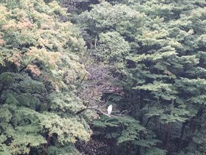 DSC02440_R