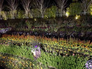 DSC02614_R
