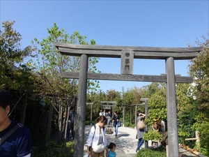 DSC00479_R