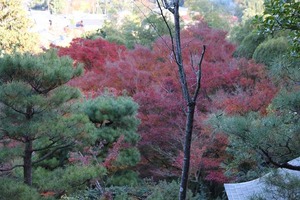 IMG_8990