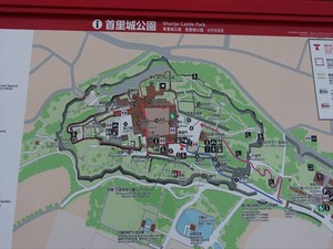 DSC07901_R