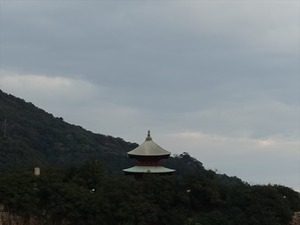 DSC00586_R