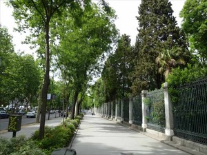 DSC03847_R