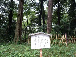 DSC02414_R