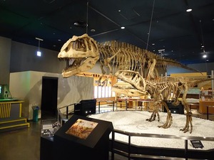 DSC02689_R