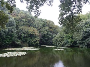 DSC02438_R