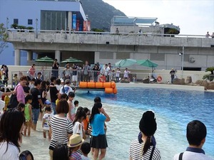 DSC05639_R