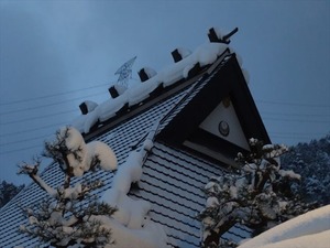 DSC03226_R