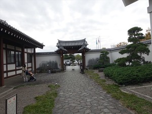 DSC04864_R