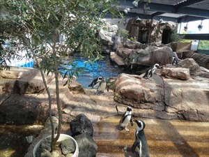 DSC07805_R