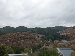 DSC08948_R