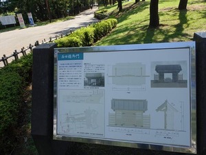 DSC04916_R