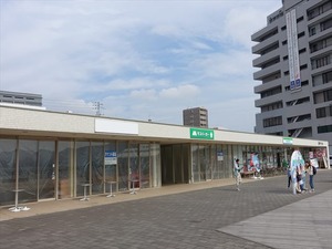 DSC05973_R