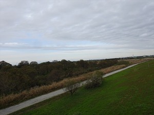 DSC04870_R