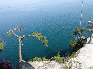DSC05874_R