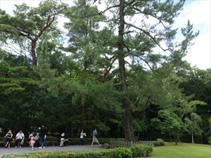 DSC07426_R
