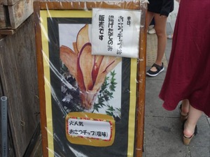 DSC08186_R
