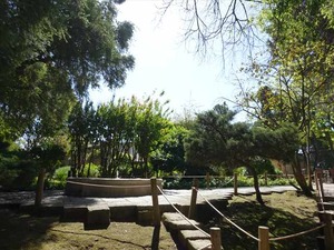 DSC07478_R