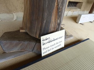 DSC09729_R