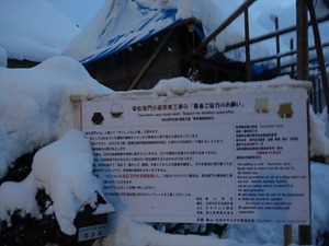 DSC03220_R