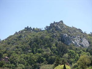 DSC06860_R