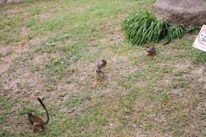 IMG_9448
