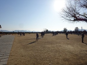 DSC01287_R