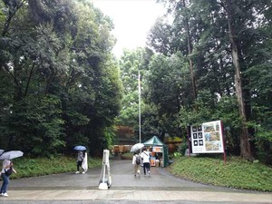 DSC02417_R