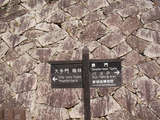 posamu4236301
