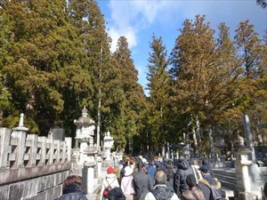 DSC02050_R