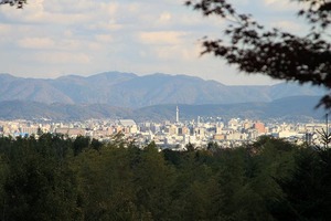 IMG_8973