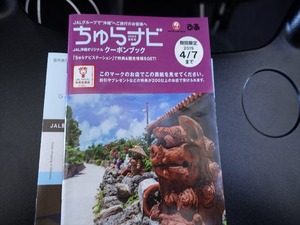 DSC07341_R