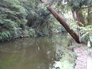 DSC07327_R