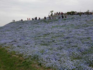 DSC00153_R
