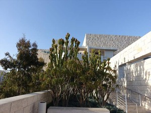 DSC07636_R