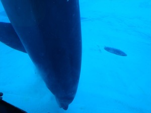 DSC03477_R